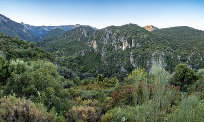Fototapeta na wymiar Green Gorge Path in Grazalema Mountain range, Spain