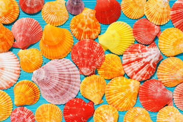 Red and yellow shells on a blue wooden background in a pattern