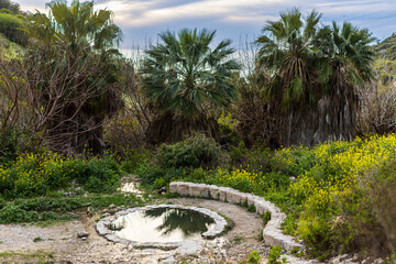 Haifa, Israel, the Wadi Siah Valley abandoned bathhouse. You can see the sea and palm trees.