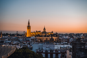 Fototapeta premium mushrooms in sevilla, spain