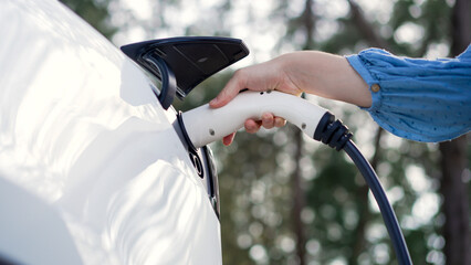 Closeup woman recharge EV electric car's battery at parking lot in natural green park. Clean energy...