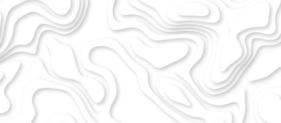 Abstract geometric layered curve line white background. 3d render, paper cut vector art background banner texture. multi layer cutout geometric patterns with smooth wavy layer. white background.