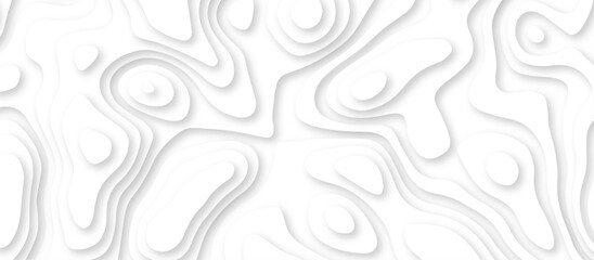 Abstract geometric layered curve line white background. 3d render, paper cut vector art background banner texture. multi layer cutout geometric patterns with smooth wavy layer. white background.