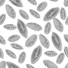 Abstract seamless pattern with  guava shadow leaves.simple vintage light and dark gray leaf with shadows on white background pattern used for textiles etc..
