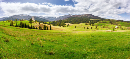 panorama of carpathian countryside in spring. mountainous rural landscape of ukraine with forested rolling hills and grassy meadows on a sunny day