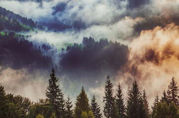 Misty mountain landscape - 766568062