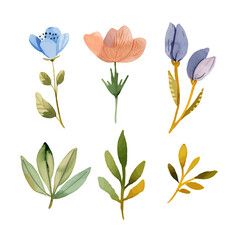 Colorful vector floral collection with leaves and flowers, watercolor drawing