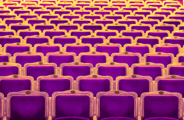 Row of purple seats  theatre