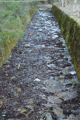 A path with grass and dirt