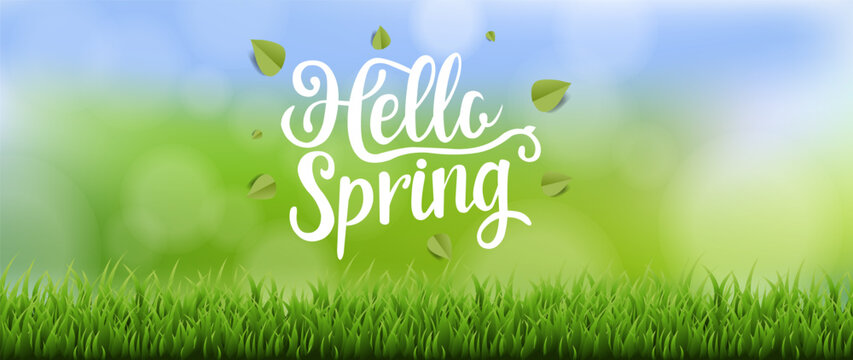 Hello Spring Text Banner With Grass And Bokeh