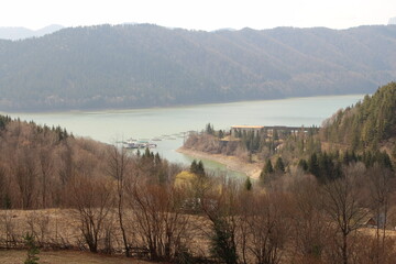 A lake surrounded by trees