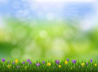 Nature Banner With Grass And Sunburst