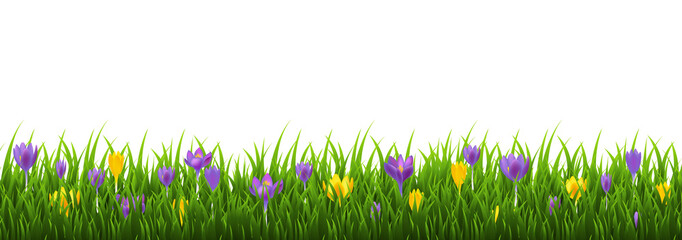 Spring Border And Grass With Flowers - obrazy, fototapety, plakaty