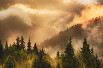Misty mountain landscape - 766579698