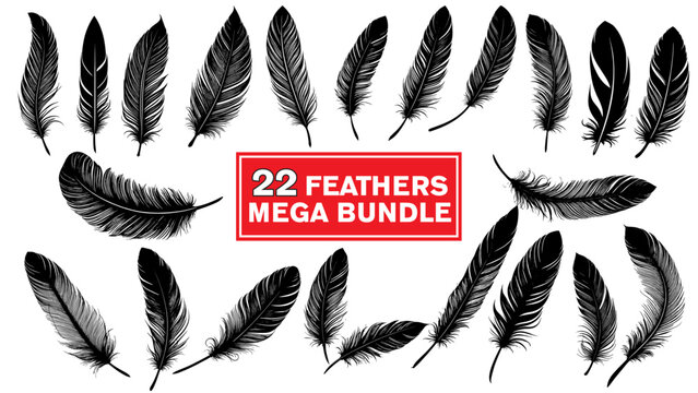 Feather vector bundle, Silhouette of bird feather collection, Feather icons set