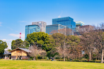 TOKYO, JAPAN - MARCH 08, 2024: Tokyo Imperial palace in Chiyoda district. This was on a sunny autumn morning just before the cherry blossom season in spring. 