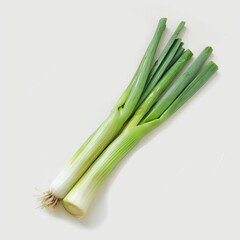 food, vegetable, green, fresh, leek, healthy, isolated, onion, white, organic, celery, ingredient, raw, plant, diet, vegetables, vegetarian, bunch, agriculture, freshness, leaf, nature, salad, spring,