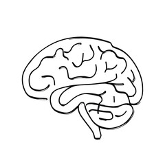 Brain or mind side view line art color vector icon for medical apps and websites