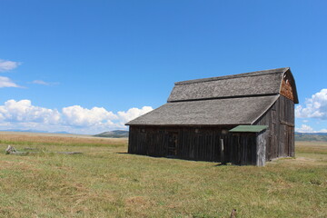 Old farm property in Wyoming.  Blue sky and green grass.  Clouds in sky.  Barn outbuilding in Wyoming countryside with Tetons in the background.  Mormon Row outbuildings. Tetons in August. 