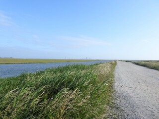 The endless beauty along the wildlife drive at the Edwin b. Forsythe National Wildlife Refuge,...