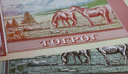 Closeup of old mongolian Tugrik currency banknote with cyrillic letters, landscape and horses