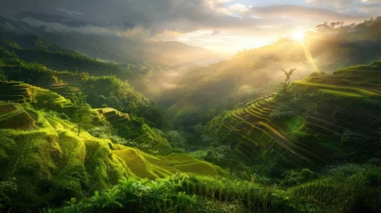 Stof per meter Golden sunrise over Banaue's vibrant rice terraces, reflecting light across the green tiers from above © cvetikmart