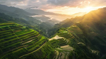 Stof per meter Bird's-eye view of serene Banaue rice terraces at dawn, with tiers bathed in golden morning light © cvetikmart