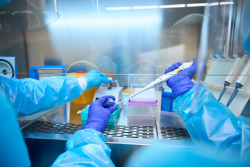 Infectious disease specialists analyze biomaterial in a sterile room - obrazy, fototapety, plakaty