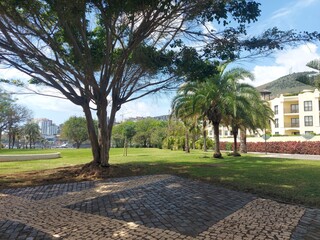 jardim, verde,  sol, amarelo, final do dia, nuvens, arquipélago, ilha, ilha da madeira, ar livre,...