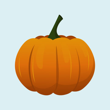 Pumpkin Vector Image