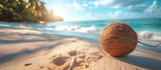 Fotobehang A coconut with rough shell rests on the sandy beach, blending with the natural environment. © FryArt Studio