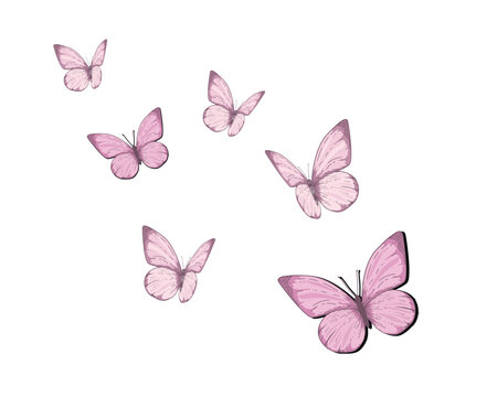 pink butterfly watercolor buttrfly flock butterflies