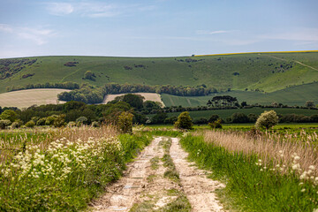 A rural South Downs view in springtime, of a chalk pathway near Lewes © lemanieh