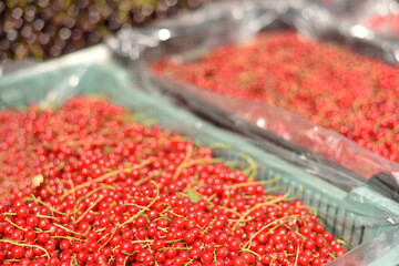 Lots of red currants on the market