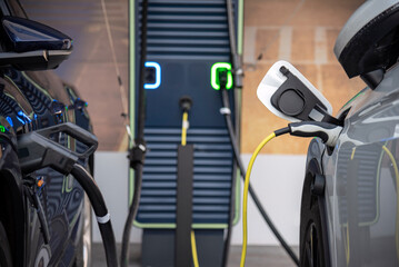 Two electric cars connected to a charger - 766612601
