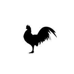 Fototapeta na wymiar Rooster silhouette
