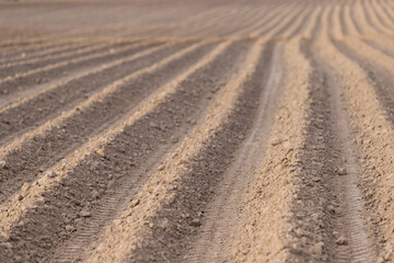 A large plowed agricultural field. The endless ranks of the beds are ready for the growth of the new crop - 766619290