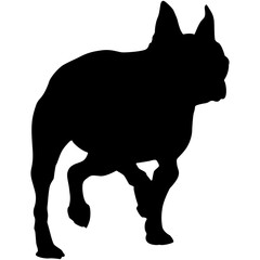 A silhouette of a Boston terrier