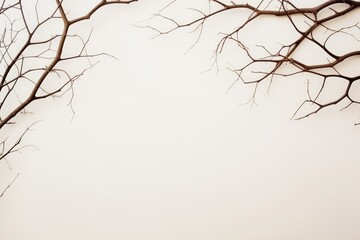 Stark silhouette of leafless tree branches spread out against a blank white sky, symbolizing quietness and dormancy. Bare Tree Branches Against Clear Sky - obrazy, fototapety, plakaty