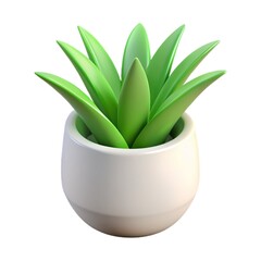 aloe vera plant