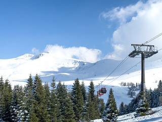 pine trees in the foreground snowy landscape from Uludag in the background