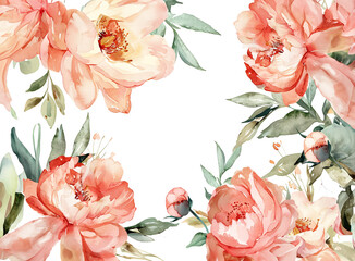 Peonies flower border on white background. Watercolor illustration