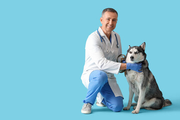 Male veterinarian with cute husky dog on blue background