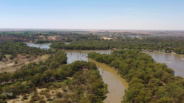 Swamps and woods in basin of Murrays river at Renmark town in South Australia &ndash; 4k.
