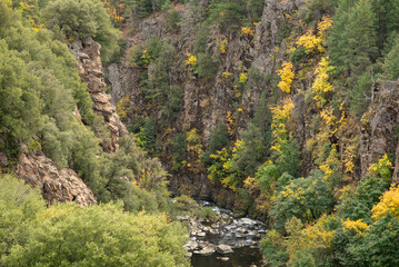 Creek canyon at Shasta-Trinity National Forest in the fall, displaying yellow leaves - 766634873
