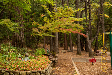 Dunsmuir, California, USA. October 16, 2023. Botanical garden in the fall, featuring coniferous trees, Autumn colors, a bench and a playground - 766635201
