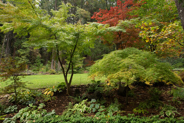 Dunsmuir Botanical Gardens in the fall, featuring Autumn colors   - 766635854