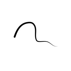 Illustration of Hair Strands. Black hair