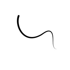 Illustration of Hair Strands. Black hair