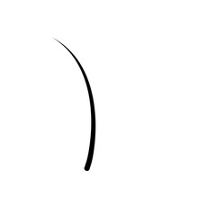 Illustration of Hair Strands. Black hair